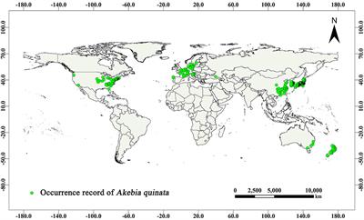 Effects of Climate Change on the Distribution of Akebia quinata